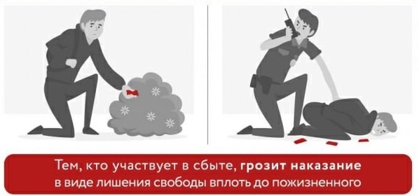 Сделай правильный выбор!.